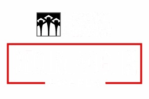 CEO Impact Awards