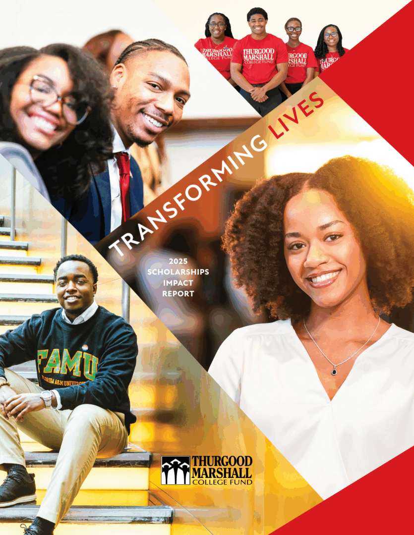 Publication Image 02